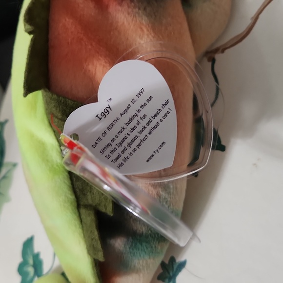 TY beanie Baby  Rainbow tag error states Iggy.  1997 - Picture 12 of 12
